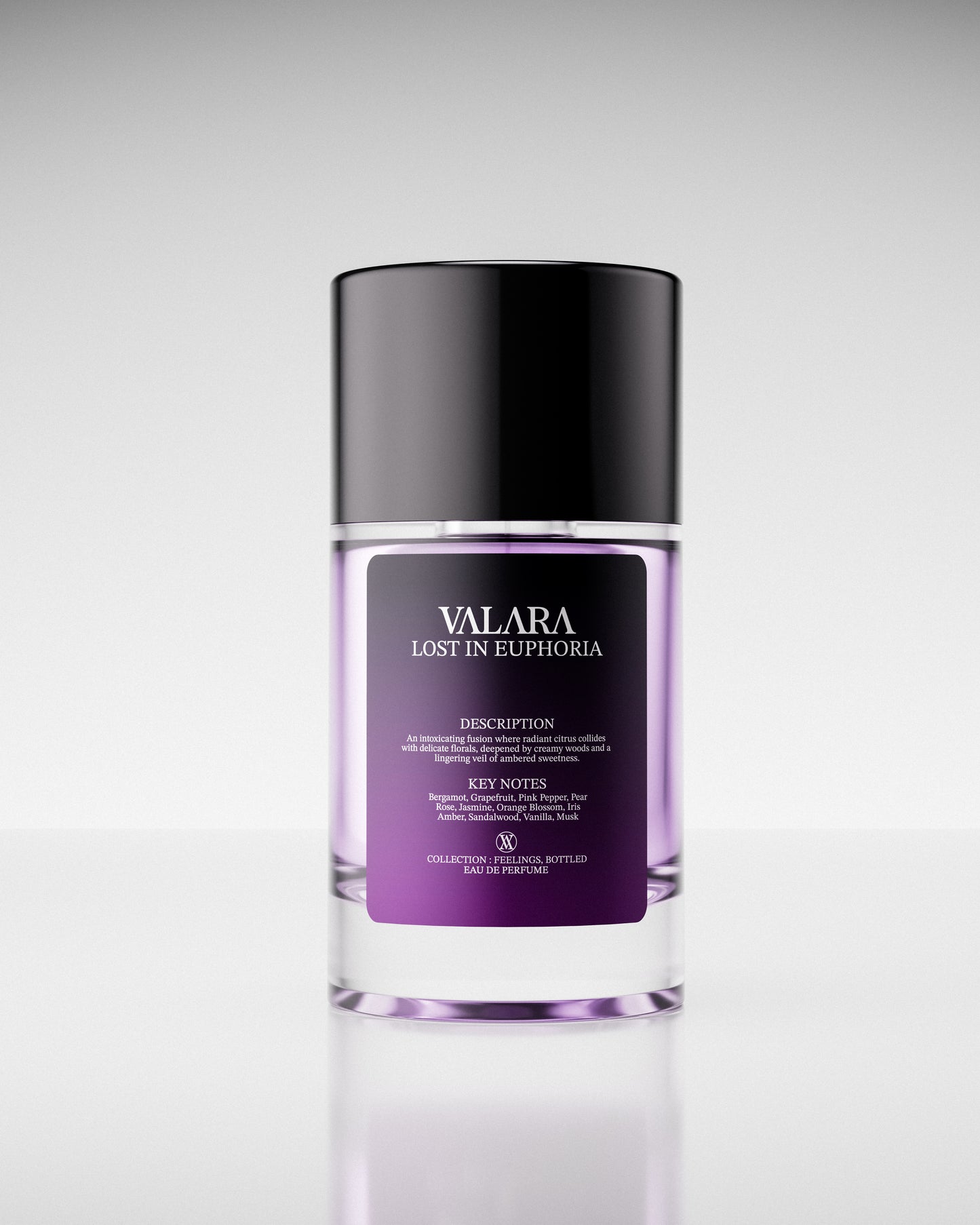 LOST IN EUPHORIA - VALARA